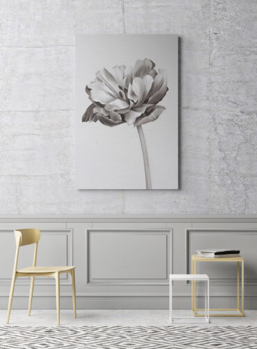 second image preview of Bild “Tulip”
