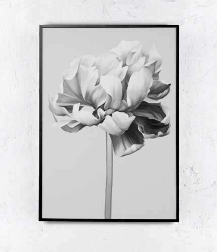image preview of Poster 